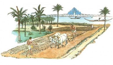 ancient-mesopotamian-agriculture